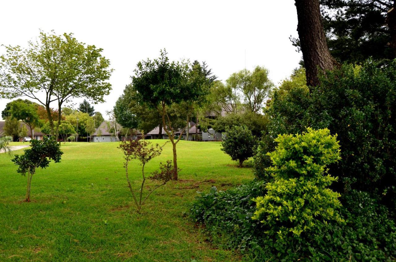 Highveld Splendour Boutique Bed And Breakfast Ermelo Kültér fotó